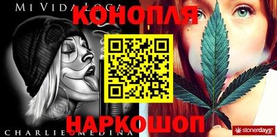 индика Тулун