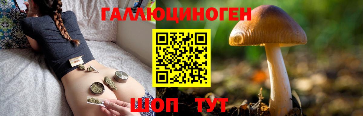 Оренбург  Галлюциногенные грибы MAGIC MUSHROOMS  Вход с VPN 